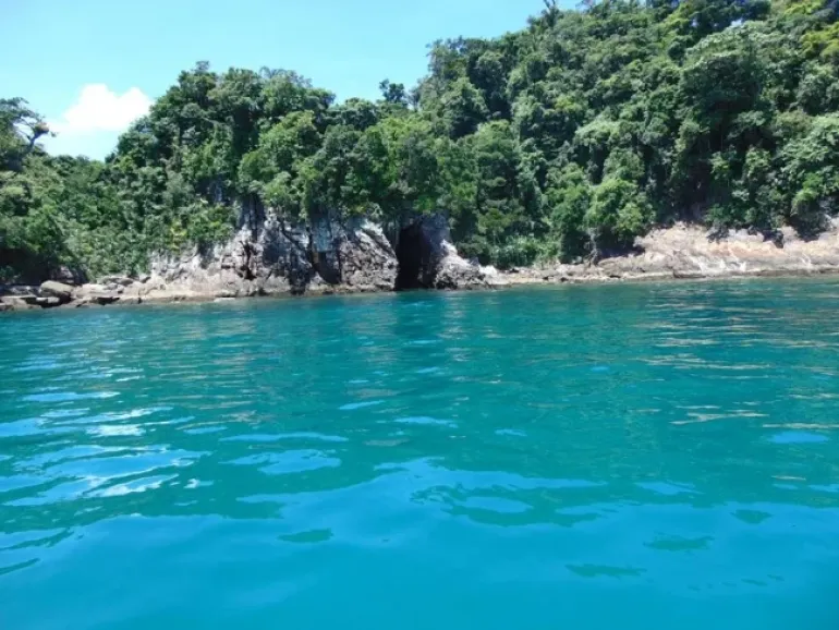 Ilha das Couves