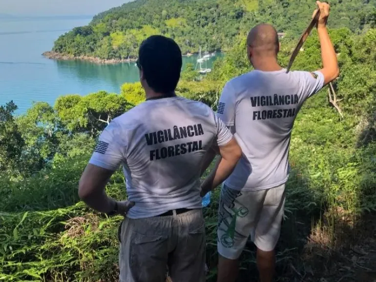 O que é um Vigilante Florestal?