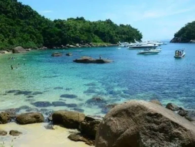 Ilha das Couves