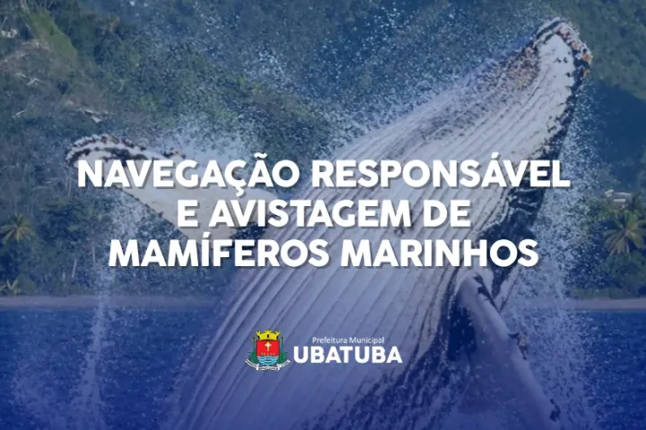 Ubatuba terá encontros para discutir regras de observação de cetáceos