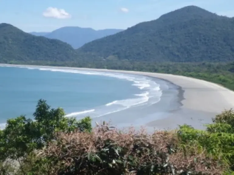 Praia da Fazenda