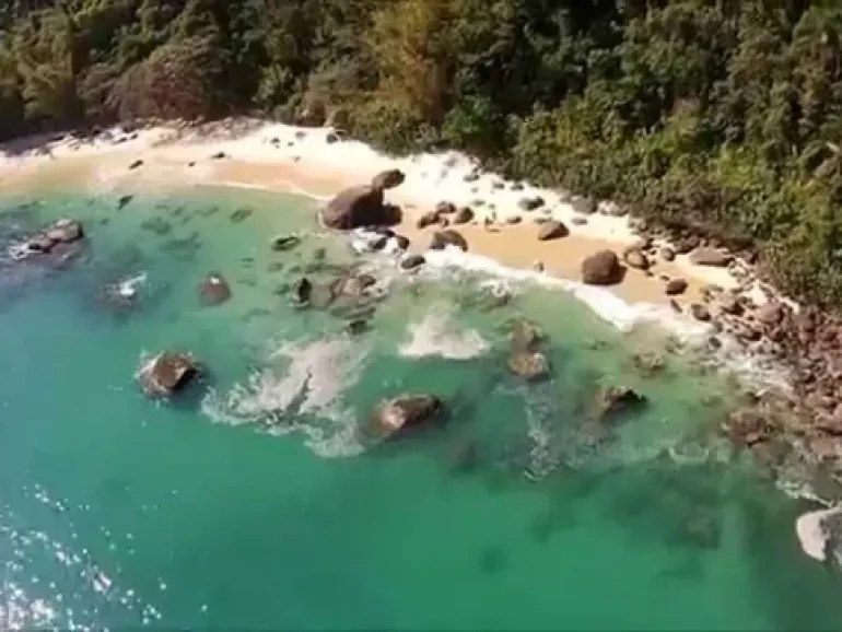 Ilha das Couves