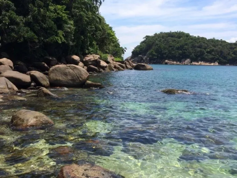 Ilha das Couves