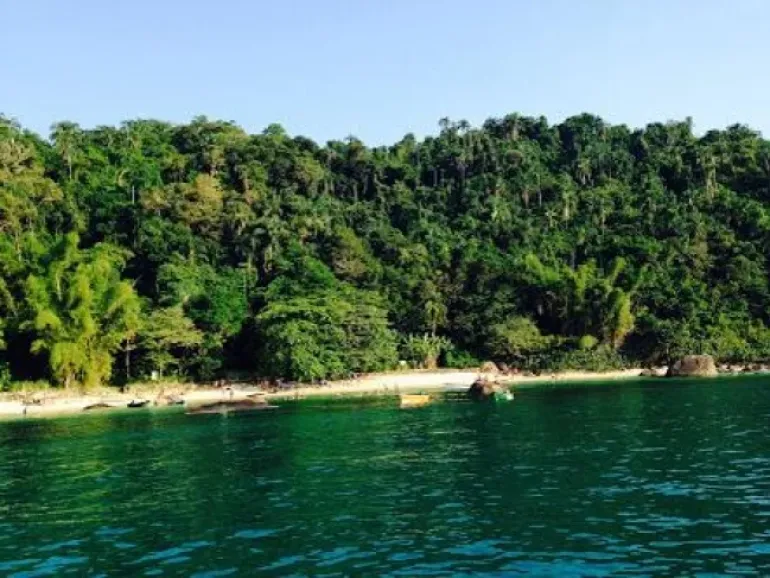 Ilha das Couves