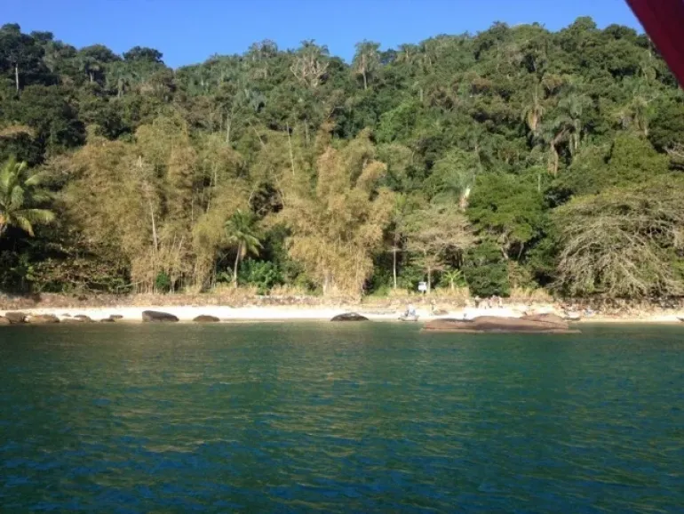 Ilha das Couves
