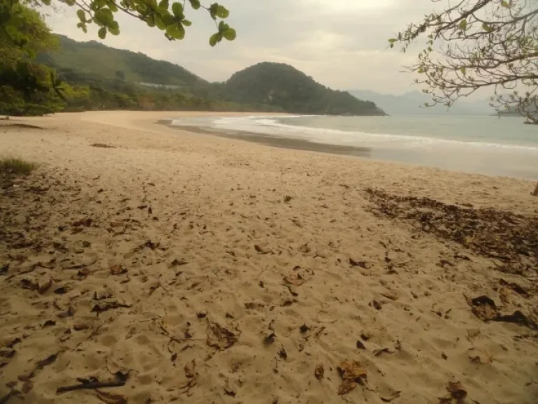 Praia do Félix