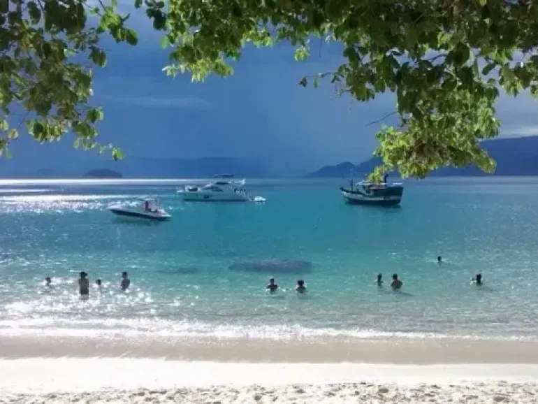 Ilha das Couves