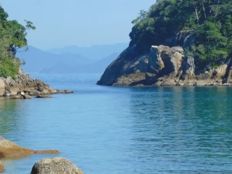 Ilha das Couves