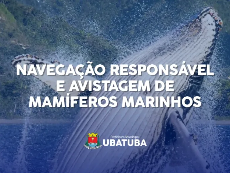 Ubatuba terá encontros para discutir regras de observação de cetáceos