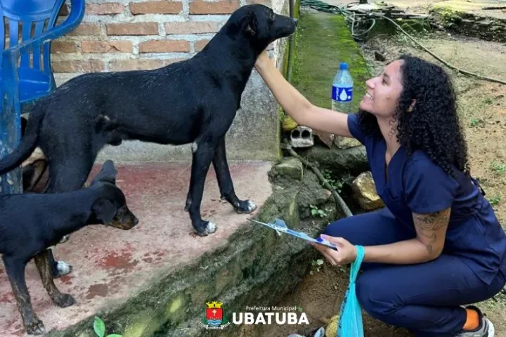 Aldeias indígenas em Ubatuba terão castração descentralizada em junho