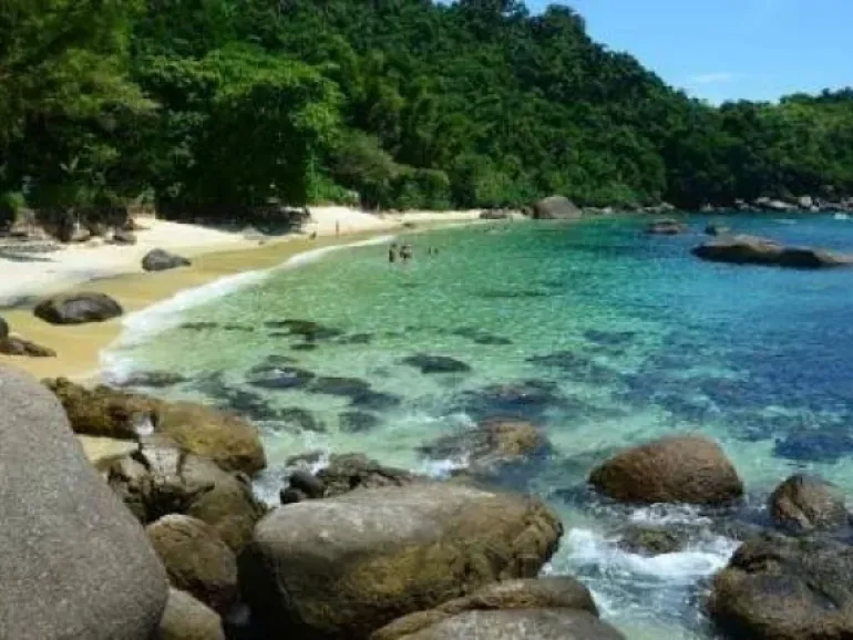 Ilha das Couves