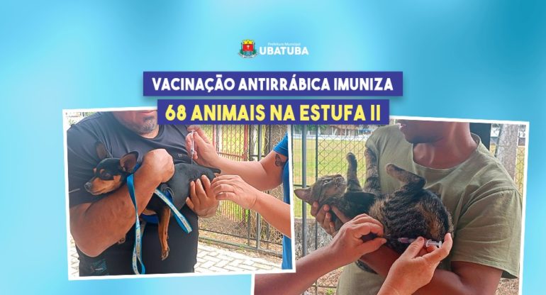 Vacinação antirrábica imuniza 68 animais na Estufa II