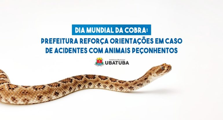 Prefeitura reforça orientações diante de acidentes com animais