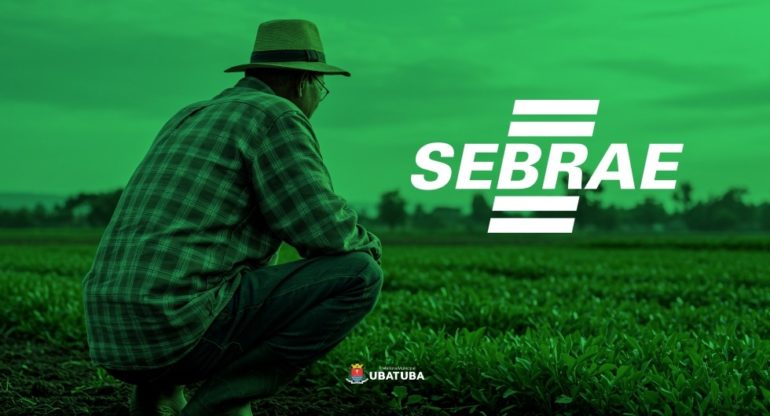 Sebrae Ubatuba abre inscrições para oficinas online