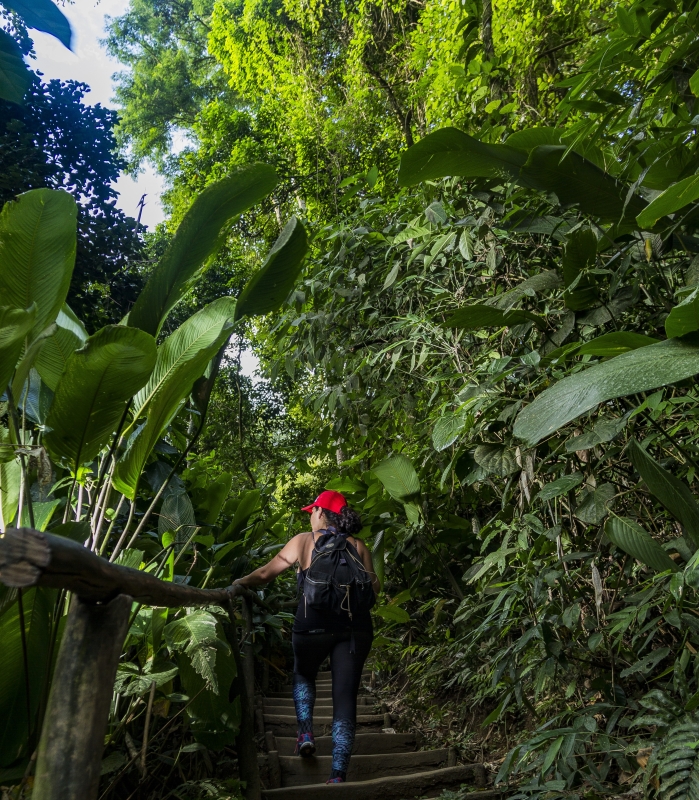 Saiba o que é e como praticar o ecoturismo em Ilhabela